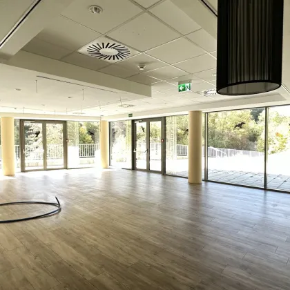 branchenfreies Geschäftslokal am Wiener Stadtrand – perfekt für Ihre Ideen! | ZELLMANN IMMOBILIEN - Bild 2