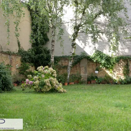 Teilsanierte, helle und geräumige 2-Zimmerwohnung - Nähe Kutschkermarkt - Bild 3