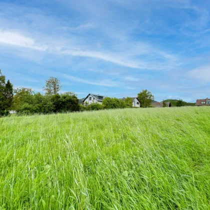 Naturnahes Bauland nur 5 Min. nach Graz. - Platz für ihr Traumhaus im Grünen. - Bild 3