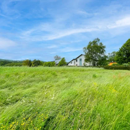 Naturnahes Bauland nur 5 Min. nach Graz. - Platz für ihr Traumhaus im Grünen. - Bild 2