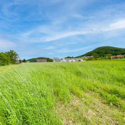 Wohnen im Grünen mit Stadtnähe. - Baugrundstücke in Weinitzen, nur 5 Min. nach Graz. - Bild 2