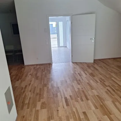 K3 - LEISTBARER LUXUS. Traumhaftes Einfamilienhaus im Erstbezug. Hochwertige und elegante Ausführung.. Carport. Doppelhausanlage. Unverbaubarer Fernblick nach Süden. - Bild 3