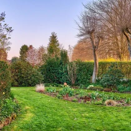 Kleingarten zur Pacht. - Neue Gartenanlage in Planung: Jetzt vormerken lassen! - Bild 2