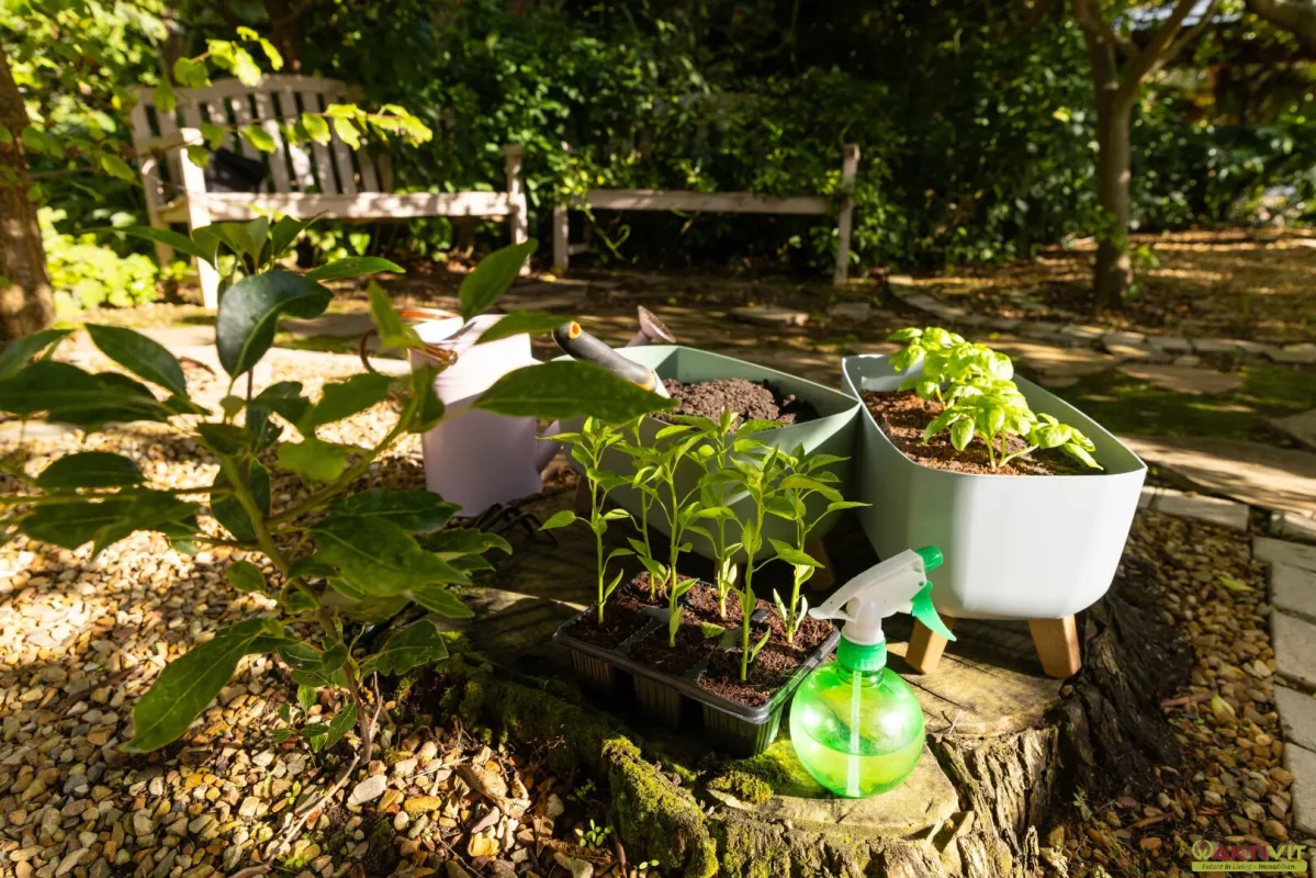 Kleingarten zur Pacht. - Neue Gartenanlage in Planung: Jetzt vormerken lassen! - Bild 1