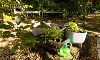 Kleingarten zur Pacht. - Neue Gartenanlage in Planung: Jetzt vormerken lassen!