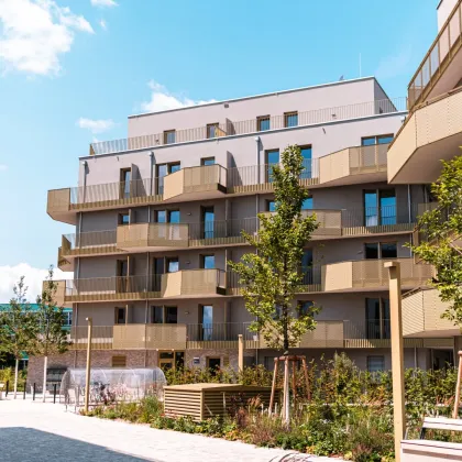 Alles was man sich wünscht – kostengünstige Heizung/“Kühlung“ über Erdwärme, PV-Anlage, weitläufige Grünflächen - Bild 3