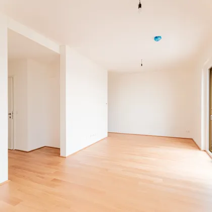 Alles was man sich wünscht – kostengünstige Heizung/“Kühlung“ über Erdwärme, PV-Anlage, weitläufige Grünflächen - Bild 2