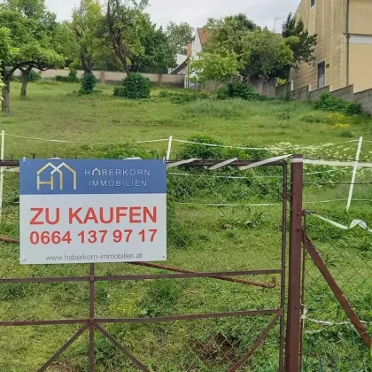 BAUGRUNDSTÜCK im sonnigen Burgenland: Sigleß - Bild 2