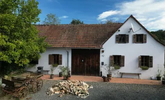 EINFAMILIENHAUS - DREIKANTHOF in Grünruhelage