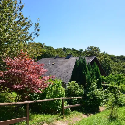 EINFAMILIENHAUS in Ruhelage mit Grünblick - Bild 3