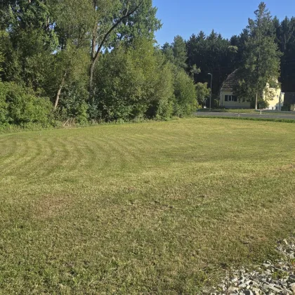 Exklusives, ebenes Baugrundstück mit ca. 1.375 m² – Raum für Visionen und Lebensqualität - Bild 3