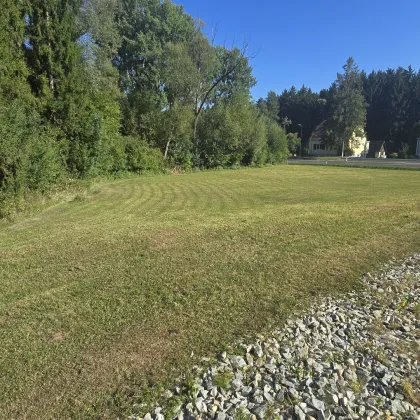 Exklusives, ebenes Baugrundstück mit ca. 1.375 m² – Raum für Visionen und Lebensqualität - Bild 2