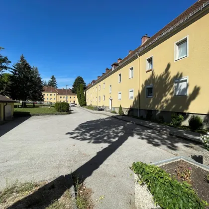 Großzügige 6-Zimmer-Wohnung mit 159 m² in Traisen – Viel Platz, kleines Budget – Ihr handwerkliches Geschick ist gefragt! - Bild 3