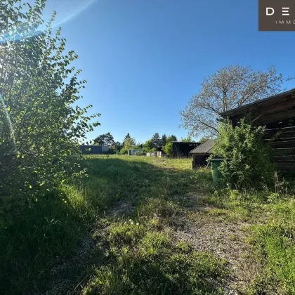 Ruhiges Baugrundstück mit Entwicklungspotenzial –  926 m² nahe Wien & Wienerwald - Bild 2
