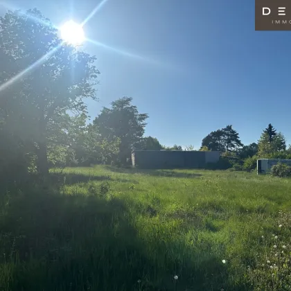 Ruhiges Baugrundstück mit Entwicklungspotenzial –  926 m² nahe Wien & Wienerwald - Bild 3