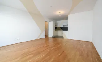 Traumhafte 3-Zimmer-Wohnung mit großzügigem Balkon nahe Linzer Bahnhof zu vermieten!