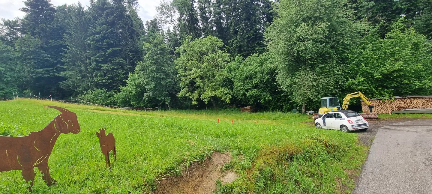 Attraktives Baugrundstück in Hohenweiler - Bild 1