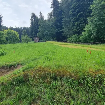 Attraktives Baugrundstück in Hohenweiler - Bild 2