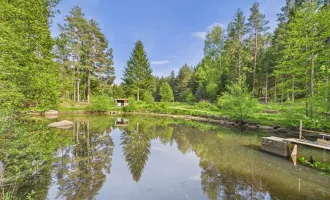 NATURJUWEL WALDVIERTEL - Professionelle Waldteichanlage 4,3 ha - ANGEBOTSVERFAHREN