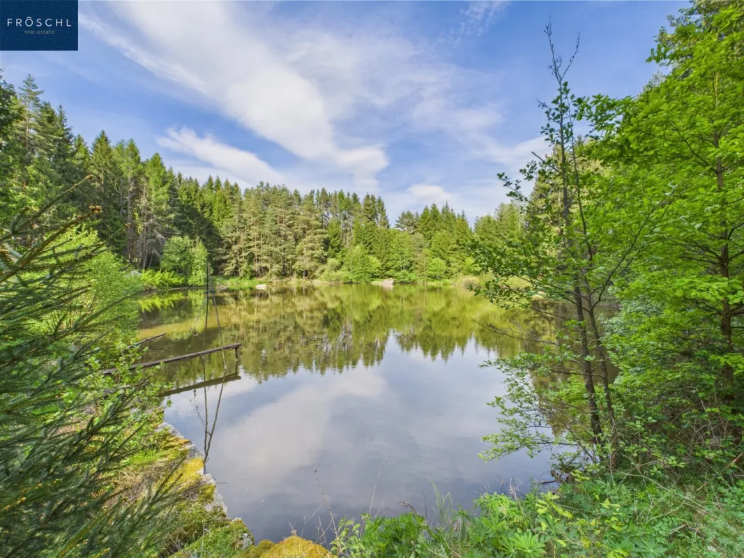 NATURJUWEL WALDVIERTEL - Professionelle Waldteichanlage 4,3 ha - Bild 1