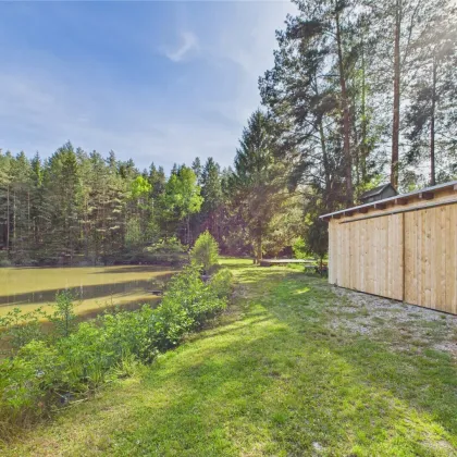 NATURJUWEL WALDVIERTEL - Professionelle Waldteichanlage 4,3 ha - Bild 2