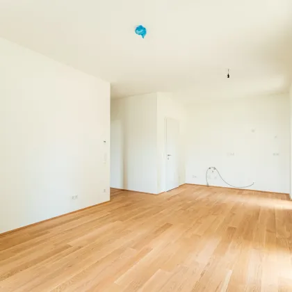 Wald – Wiese – Bach – Ihre Wohnoase zum Entspannen mit toller Infrastruktur - Bild 2