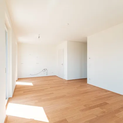 Wald – Wiese – Bach – Ihre Wohnoase zum Entspannen mit toller Infrastruktur - Bild 2