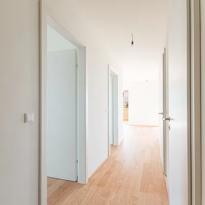 Wald – Wiese – Bach – Ihre Wohnoase zum Entspannen mit toller Infrastruktur - Bild 3