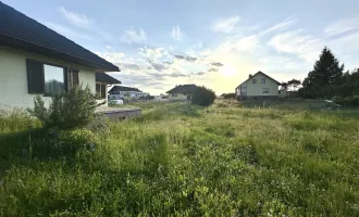 Einfamilienhaus mit riesigem Garten - 5 Zimmer - Zentrumnähe