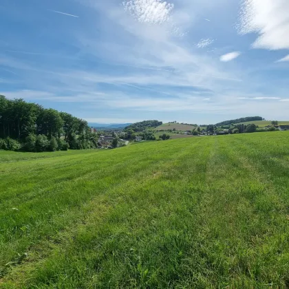 12 Fußballfelder Natur: Exklusive Agrarflächen im Dunkelsteinerwald - Bild 3