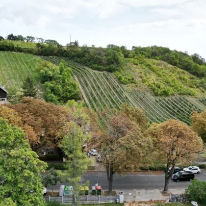 RARITÄT - Baugrundstück mit HERRLICHEM FERNBLICK! - Bild 3
