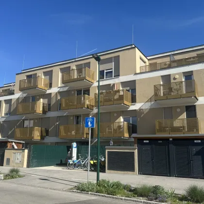 Sonnige, barrierefreies Büro beim Rathaus/ der Badner Bahn und Bhf. Mödling - Bild 2