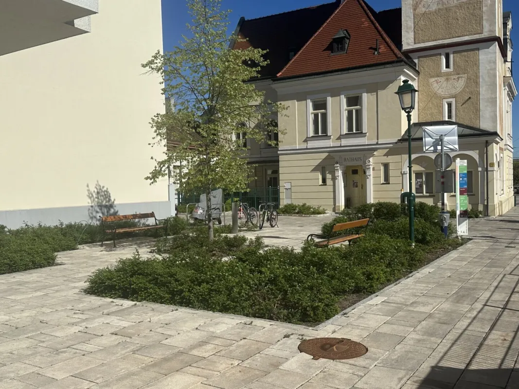 Sonnige, barrierefreies Büro beim Rathaus/ der Badner Bahn und Bhf. Mödling - Bild 1