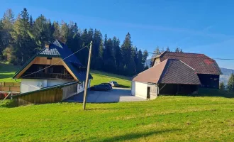 RÜCKZUGSORT AUF 1200 M SEEHÖHE- NATURIDYLLE MIT WEITBLICK UND VIEL PLATZ FÜR IHRE IDEEN!