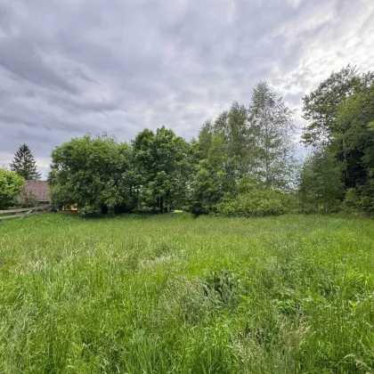 Bauparzelle in Grünruhelage von Eidenberg zu verkaufen - Bild 2