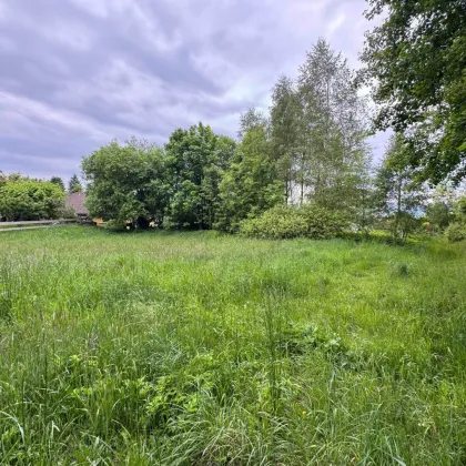 Bauparzelle in Grünruhelage von Eidenberg zu verkaufen - Bild 3