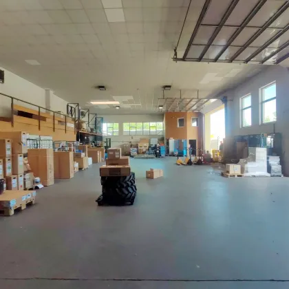 Gewerbeimmobilie in Top-Lage am Südring – Lagerhalle mit Bürotrakt - Bild 2