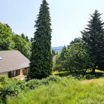 Rarität bei Friedberg: Kanadisches Holzblockhaus im Rohbau - Bild 3