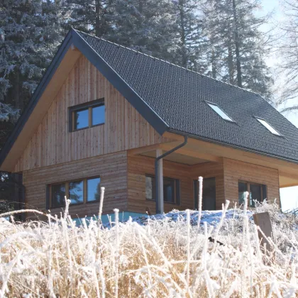 Wunderschönes Ferienhausprojekt in TOP-(AN)-Lage (Modriach) Haus C - Bild 2