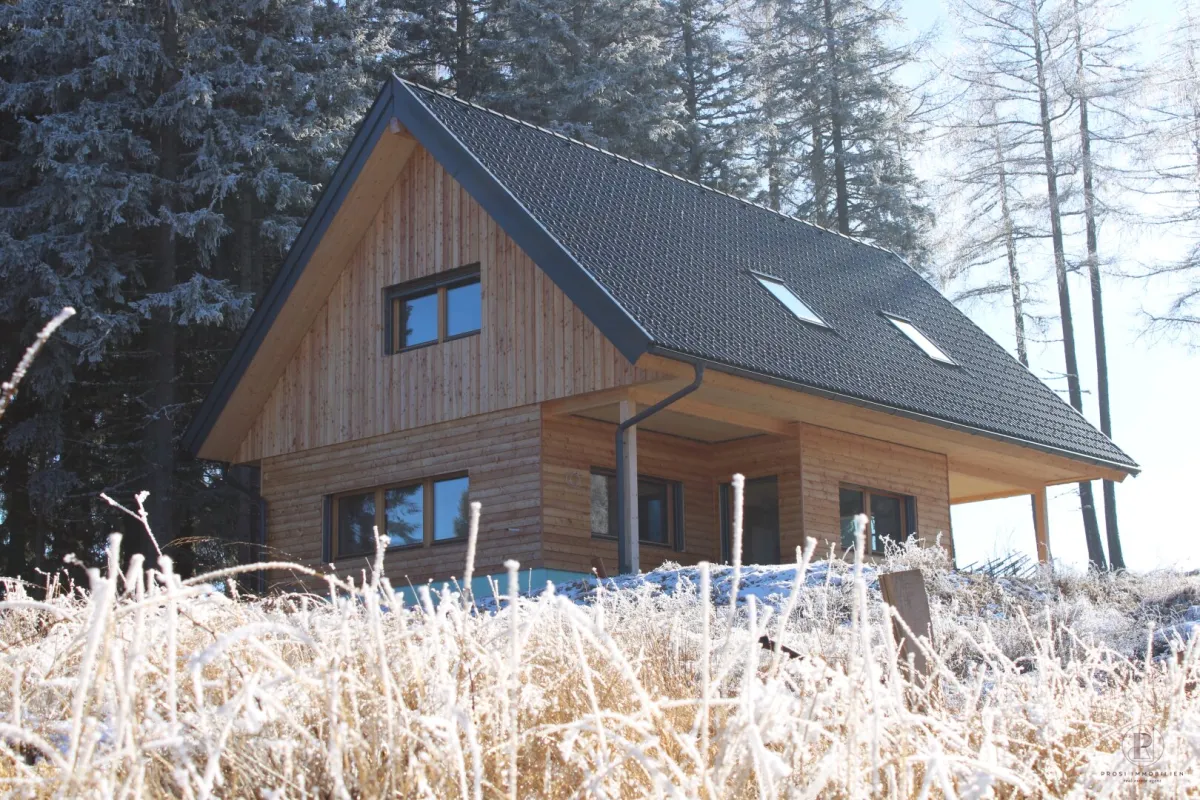 Wunderschönes Ferienhausprojekt in TOP-(AN)-Lage (Modriach) Haus B - Bild 1