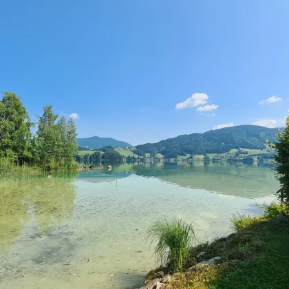 Sehr exklusives Haus mit Badegrund und Boje am Mondsee - Bild 3
