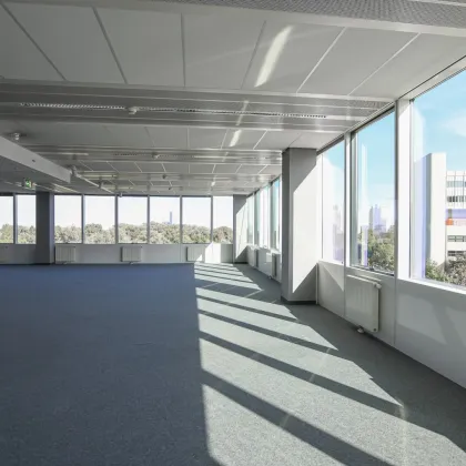 Modernes Büro mit Balkon im Saturn Tower - Bild 2