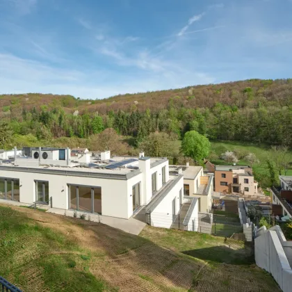 Eigentum in Kaltenleutgeben: Ihr Traumzuhause in Niederösterreich wartet auf Sie! - Bild 2