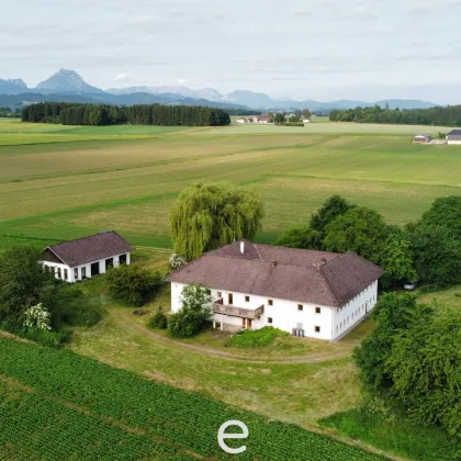 Vierkanthof in idyllischer Alleinlage - Bild 2