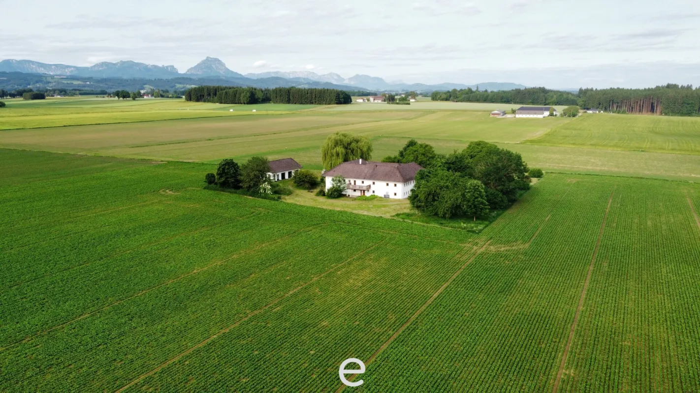 Vierkanthof in idyllischer Alleinlage - Bild 1