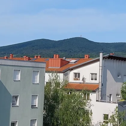 SEHR GUT GEPLANTE DREIZIMMERWOHNUNG MIT WUNDERBARER AUSSICHT IN RUHELAGE - Bild 3