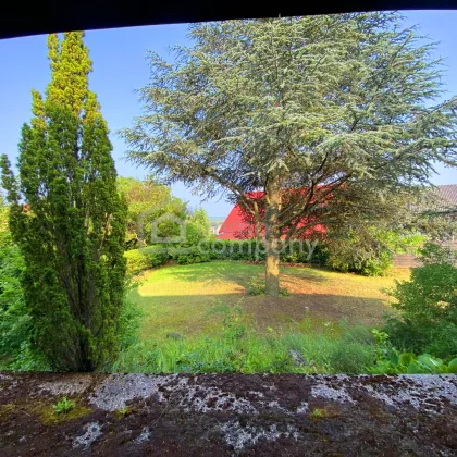 Ein Chalet zum Verlieben  -Neusiedlersee-Blick - Bild 2