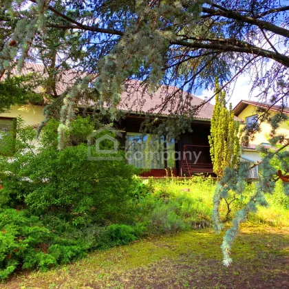 Ein Chalet zum Verlieben  -Neusiedlersee-Blick - Bild 3