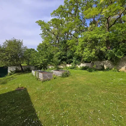 4.361 m² Bauland in toller Lage für Ihre Ideen! --Liegenschaft mit zwei separaten Wohneinheiten, Nebengebäude, Innenhof, vielfältige Nutzung, große Fläche nahe Hollabrunn - Bild 3