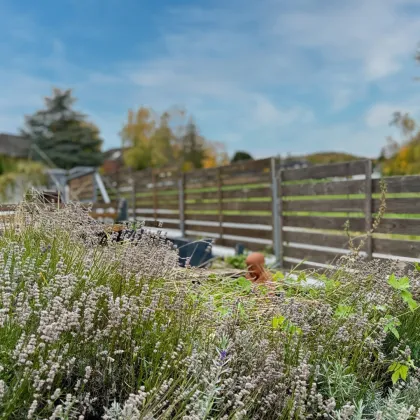 Lebensqualität pur: Großzügiges Einfamilienhaus mit traumhafter Pool-Landschaft - Bild 3